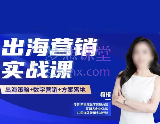 榕榕出海营销:出海营销实战课品牌策略数字营销策划方案,从品牌策略、独立站搭建到Facebook/Google/TikTok全域数字营销