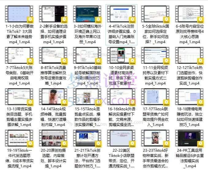 Tiktok实战VIP精英班,掌握全链路运营与跨境电商变现