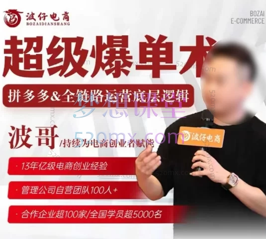 2025波仔电商-拼多多年卡会员,爆店技术高阶课
