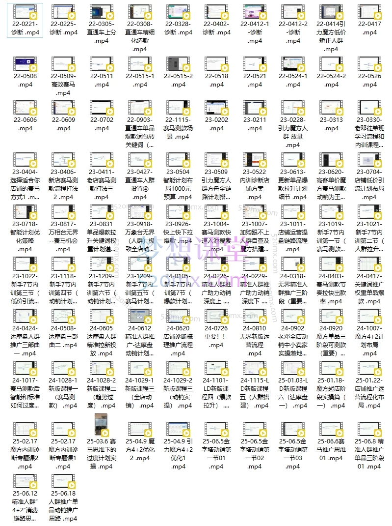 2025老邓电商淘宝开店运营教程：直通车与全店推广系统课