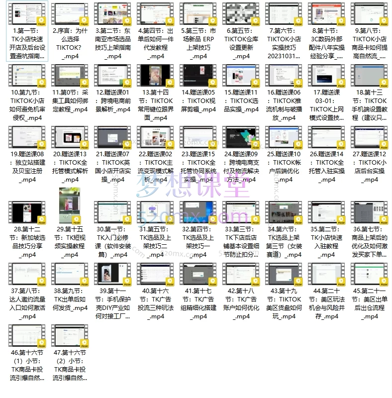 表哥TIKTOK小店短视屏直播独立站课程