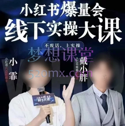 戴小胖-小红书爆量会6月28-30号线下课(AI提效×流量狙击×稳定盈利)