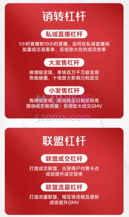 2025年【恒星私董会4.0】私董-肖厂长·一人公司私域联盟