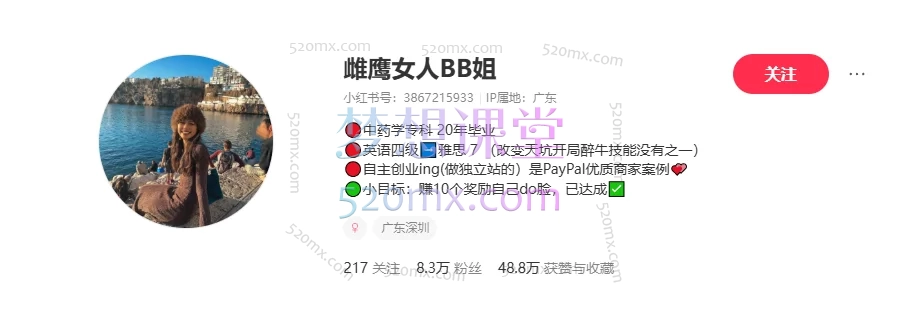 雌鹰女人BB姐的网站运营课,建站、引流、收款一站式精讲