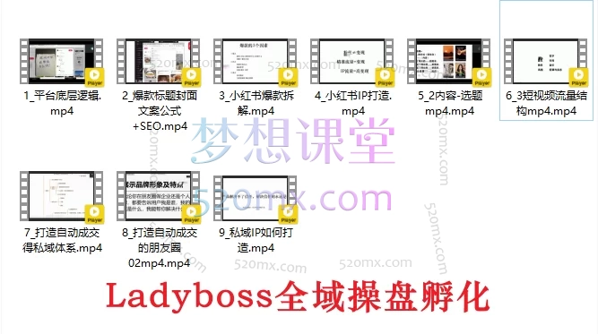 Ladyboss全域运营21天小红书成长变现+全域操盘孵化