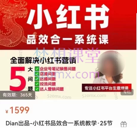 迪安Dian出品-小红书品效合一系统教学,解决企业号笔记、店播、达播、投流以及达人营销问题