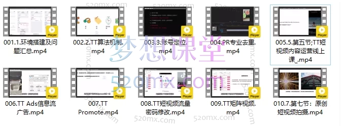 Tiktok技能培训实操课：从零到精通运营与变现