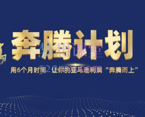 2025MoonSees奔腾计划亚马逊(亚马逊卖家运营与利润提升服务)