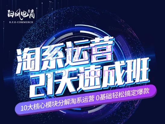 2025白凤电商学院·拼多多日销千单训练营1-38期
