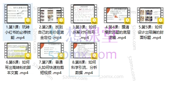 徐柒七21天小红书涨粉变现营,从0-1打造能赚钱的账号