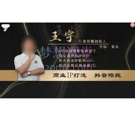 王宇巨象传媒商业IP线下课,打造个人 IP线下课视频+笔记