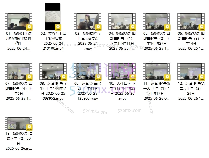 2025婉婉6月24-26号线下课【精品稀缺课】从人货场到脚本演绎与流量掌控