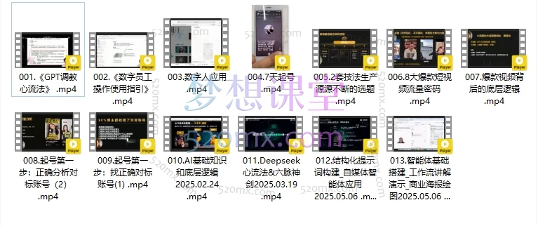 白先生AI流量体-老板的随身操盘手:9大场景实战,精准获客增效