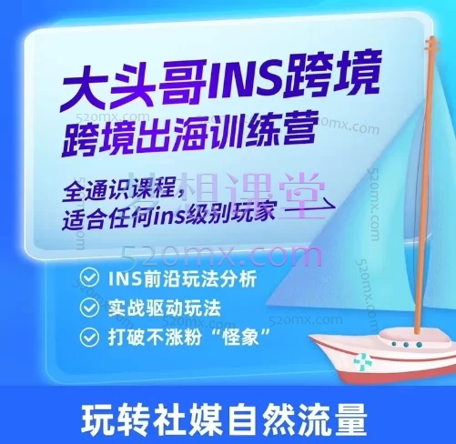 大头哥(Instagram )ins跨境电商出海训练营,全通识课程,适合任何ins级别玩家