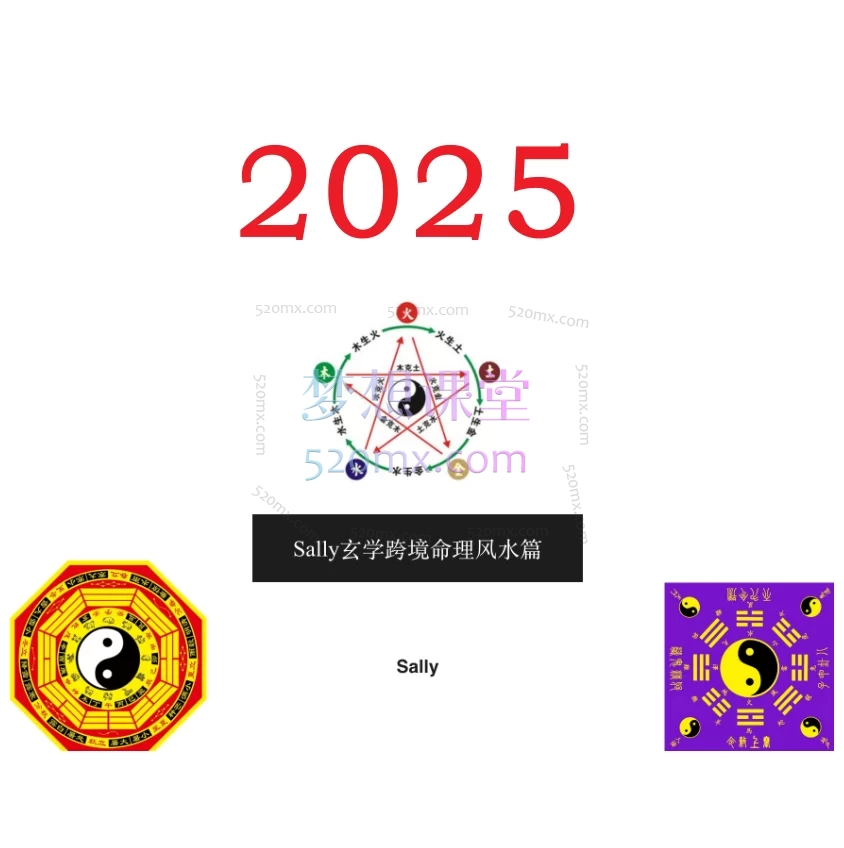 Sally玄学跨境Tiktok命理中英文课程,精准锚定TikTok等海外平台的玄学内容蓝海市场!