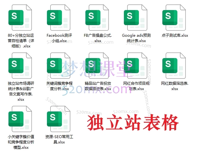 独立站运营实战大师课:建站×选品×引流×SEO×团队管理(2025最新版)