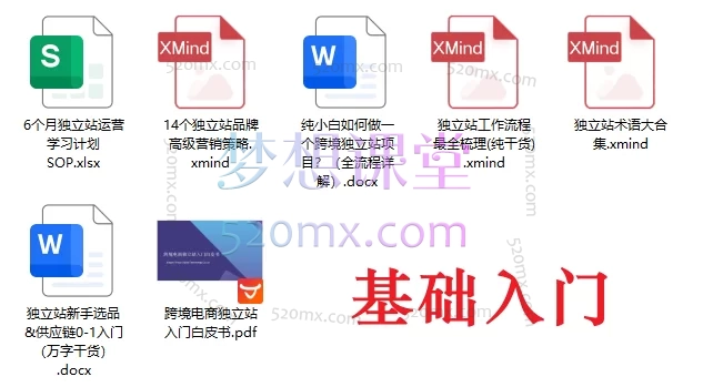 独立站运营实战大师课:建站×选品×引流×SEO×团队管理(2025最新版)