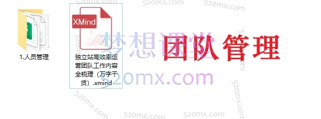 独立站运营实战大师课:建站×选品×引流×SEO×团队管理(2025最新版)