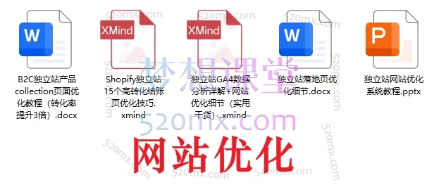 独立站运营实战大师课:建站×选品×引流×SEO×团队管理(2025最新版)