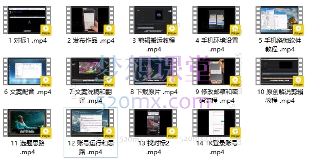 2025TikTok中视频计划，涵盖环境配置、账号安全、内容创作、高效运营