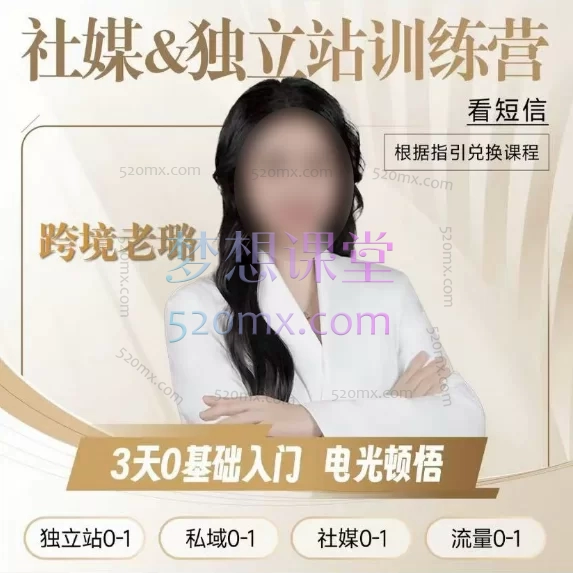2025跨境老璐:跑通【独立站0-1】独立站电光顿悟训练营