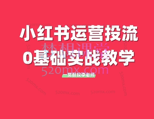 一觉智投李老师小红书运营投流实战课,全网最真实、学完即可上手的小红书运营投放课——精华版!