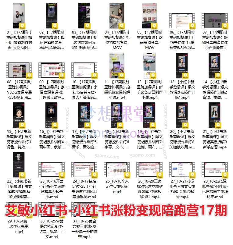 2025艾敏120天小红书涨粉变现训练营Pro版（17期+11期 + 9期精华）​