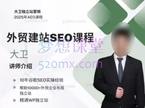 大卫B2B外贸独立站建站+谷歌SEO