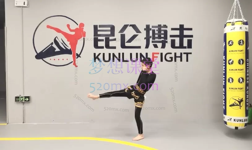 专业自由搏击-踢拳教学课程-系统的讲解拳理-拳法-组合