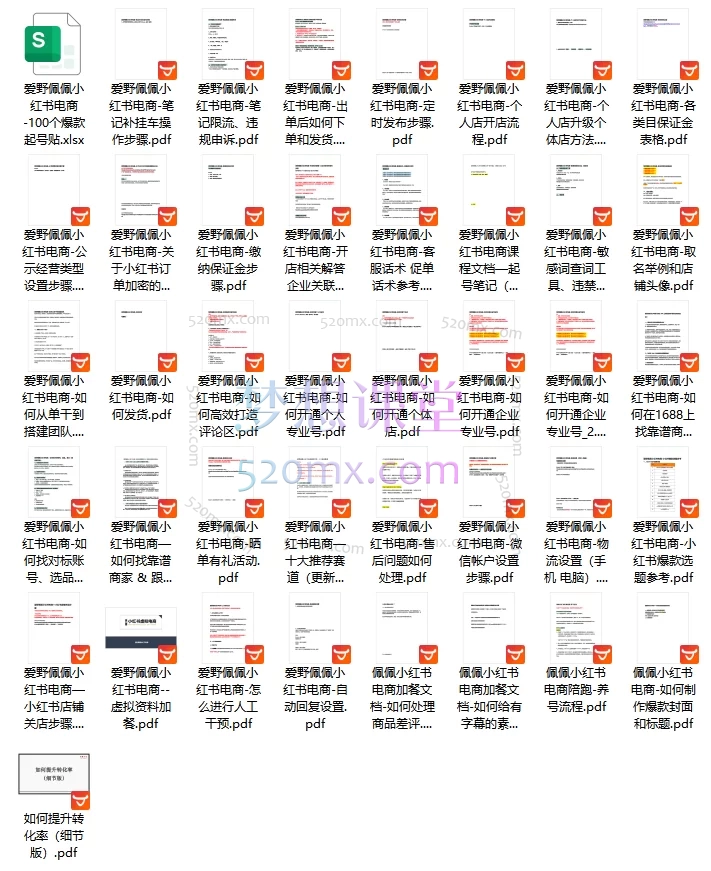 2025爱野佩佩小红书电商实战课：从0到1开启赚钱店铺