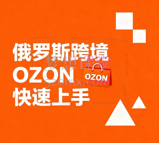 俄罗斯跨境OZON快速上手实战课程:零基础入门到精通