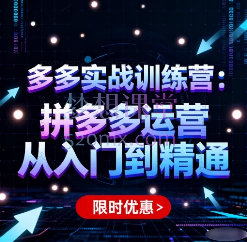 多多实战训练营:拼多多运营从入门到精通