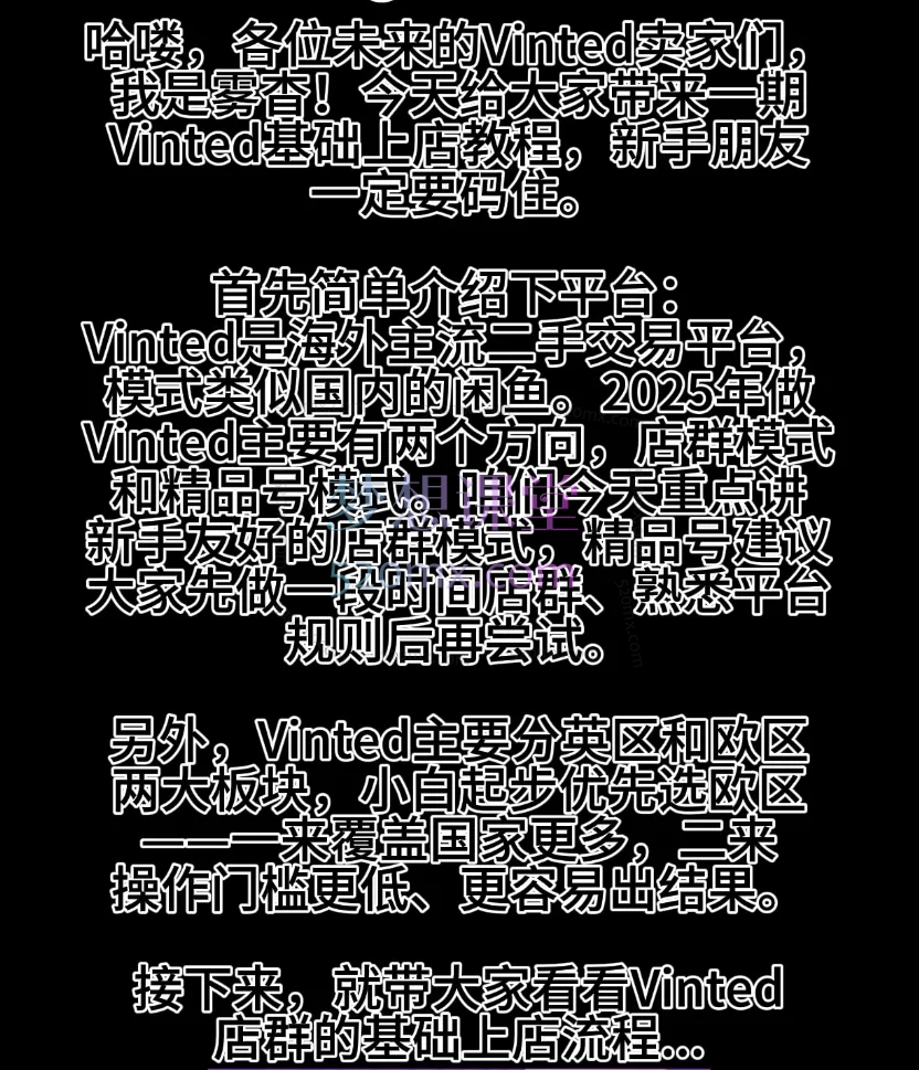 vinted跨境电商欧洲二手平台入门新手基础教程
