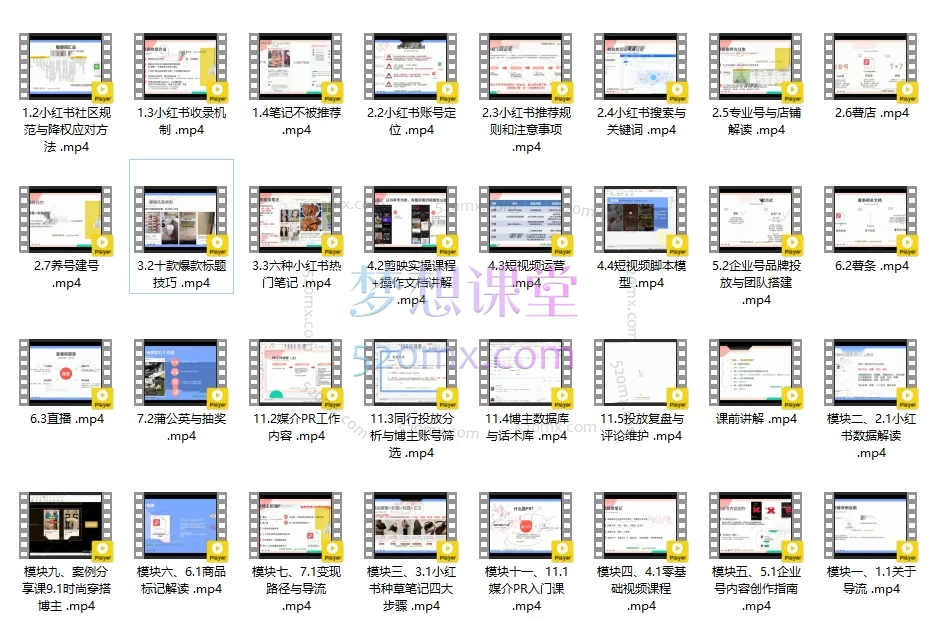 小红书运营 2.0课程：从入门到精通，打造爆款实现商业变现