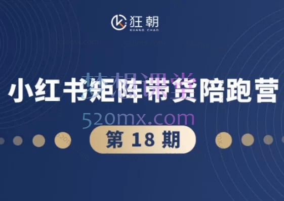 盗坤第十八期小红书矩阵带货陪跑营 - 从0到1精通店铺运营与爆款内容