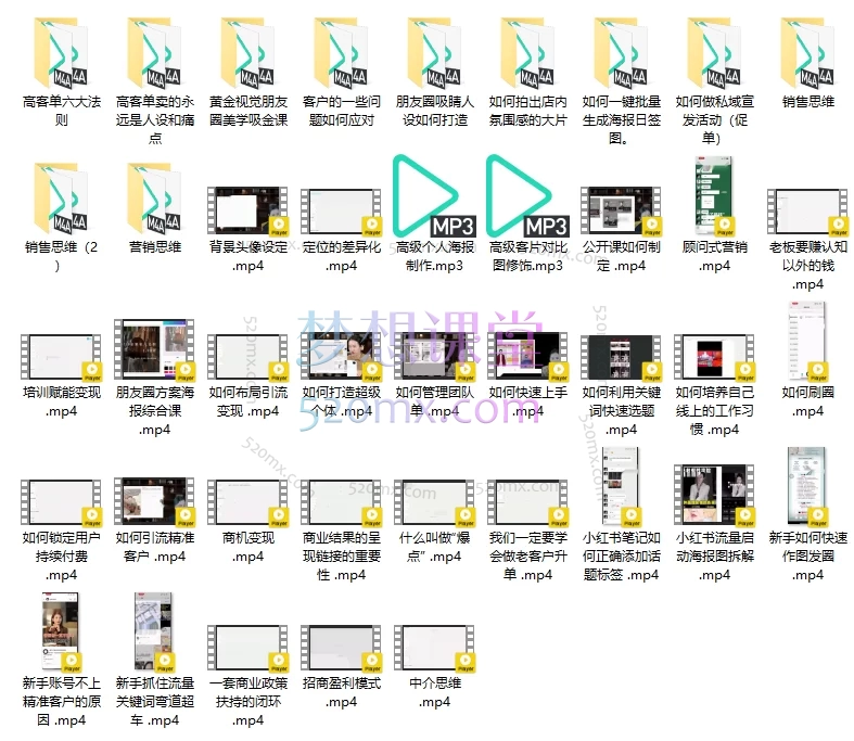 4980商业咨询师落地课程 | 从0到1打造超级个体IP,实现引流、变现、团队管理闭环