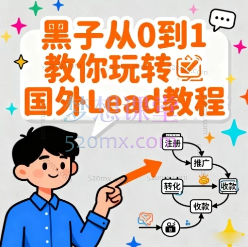 黑子从0到1教你玩转国外Lead教程:从0到1新手入门实战手教你搭建盈利网站,搞定联盟收款!