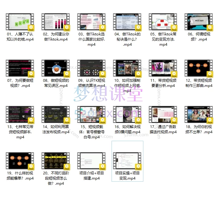 TikTok短视频从入门到精通:运营、带货与变现全攻略