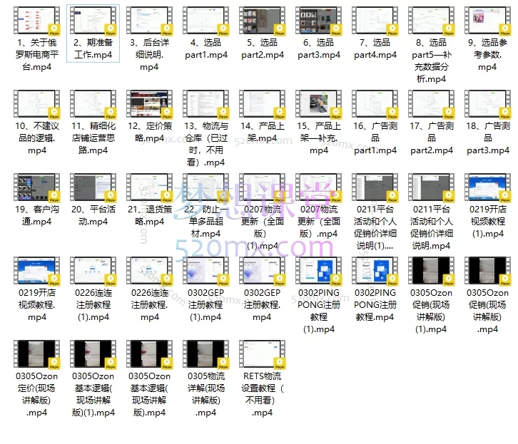 壹壶电商:小张同学Ozon俄罗斯电商平台运营实战课:从0到1掌握选品、物流与店铺精细化运营