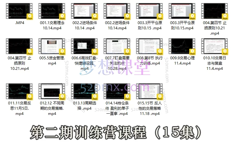 苏冰期货正收益交易系统训练营：构建稳定盈利的交易体系（第二期&amp;第三期完整课程）​