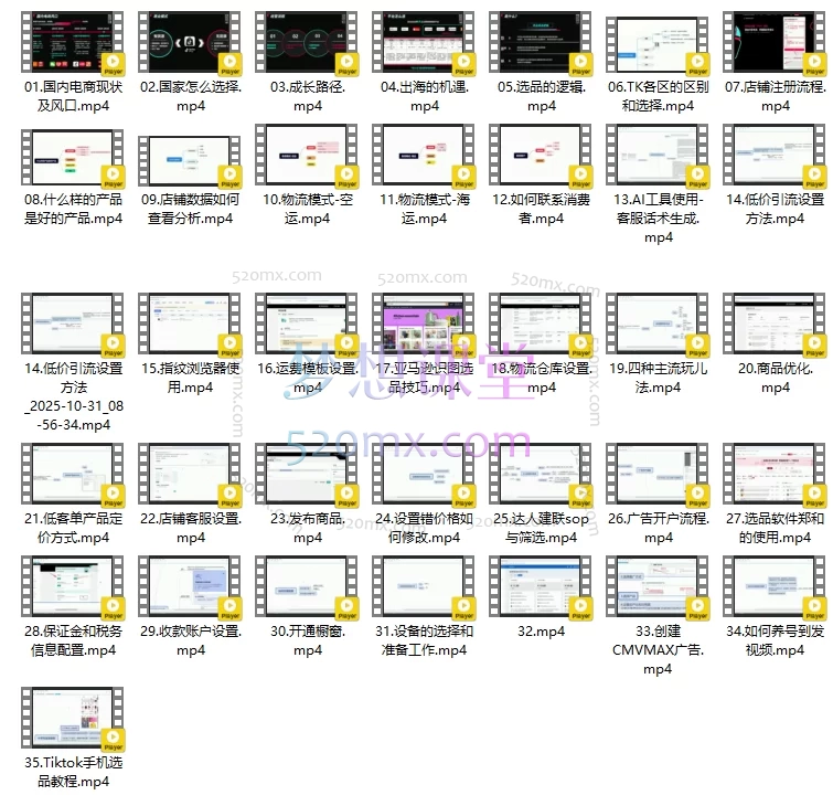 2025TikTok电商从0到1实战全攻略:市场选择、爆品挖掘、店铺运营与AI增效