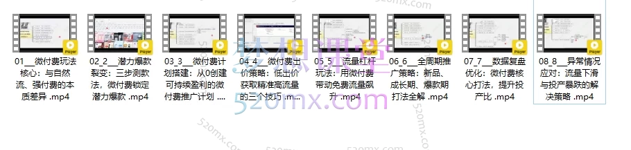 白凤电商第41期微付费玩法5.0—— 可持续盈利的电商引流新策略(2025年10月更新)
