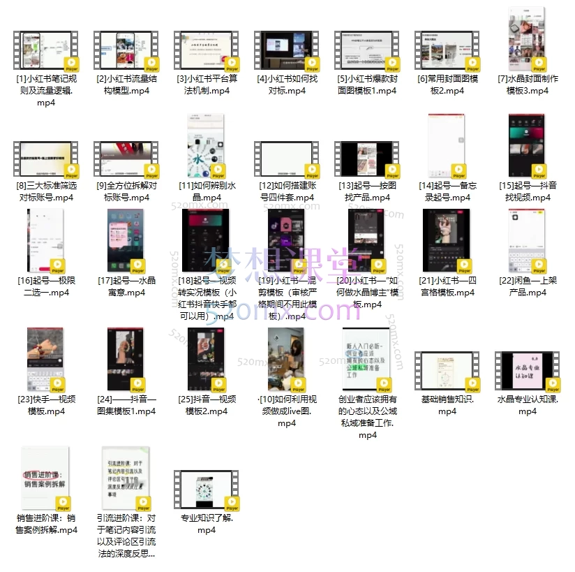 2025水晶小红书抖音起号,新人入门基础课+水晶专业知识课+销售知识进阶课