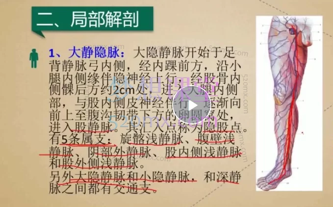 58套中医名家精华课程合集，系统入门到临床实战的全路径学习宝库