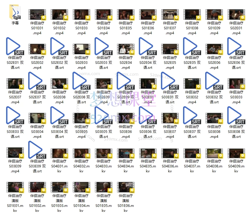 心理学博士强推《伴侣治疗》第1-4季澳洲版，超清中英文字幕，学精神分析心理学必看！！！