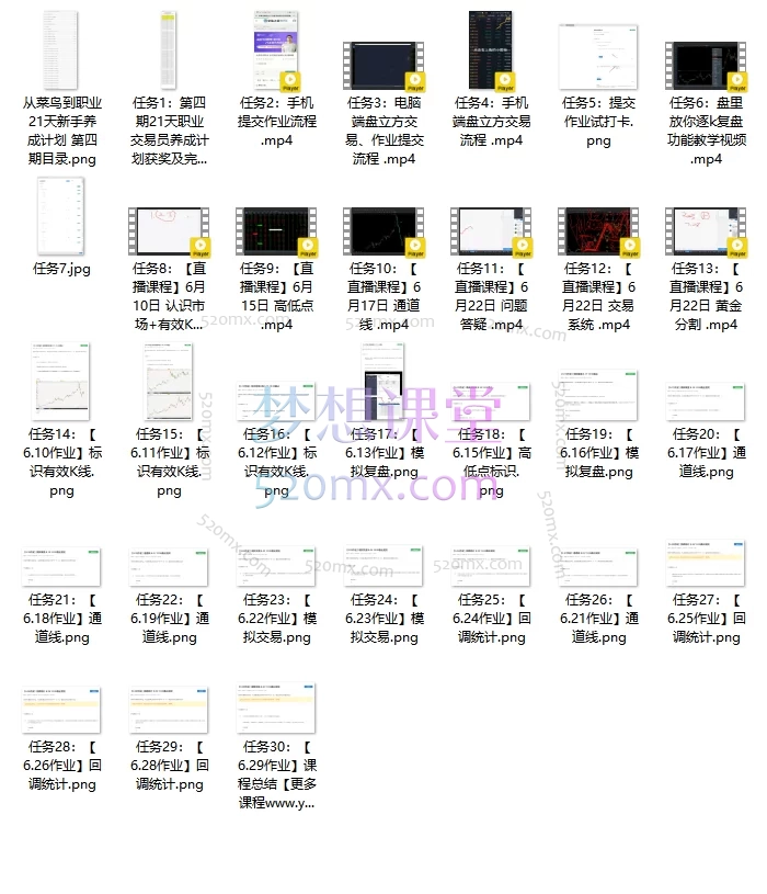 兰玉飞21天职业交易员养成计划第四期 - 从菜鸟到职业的交易系统实战课