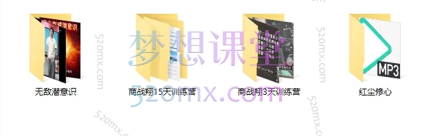 商战翔15天线上训练营+商战翔3天训练营+无敌潜意识+红尘修心合集