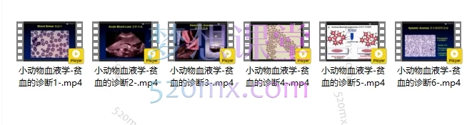 欧兽猫病宠物医院猫病专科全面完整全套培训视频