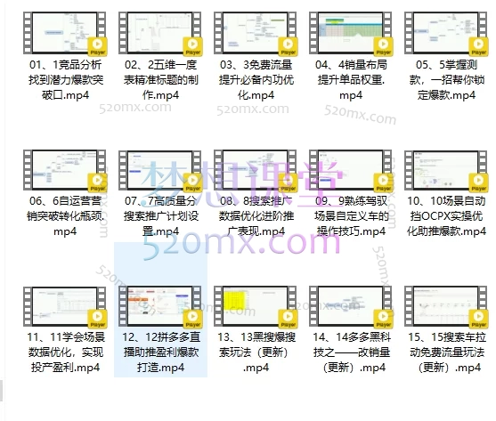 木兰拼多多内训进阶系列课程免费流量课+付费流量课
