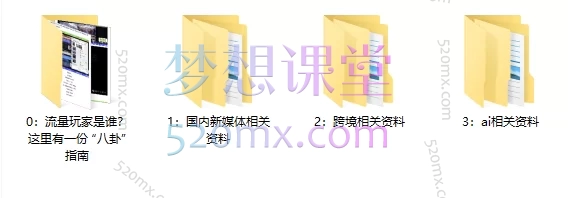 2025大光流量玩家TK跨境全流程变现课+2025大光内部资料包